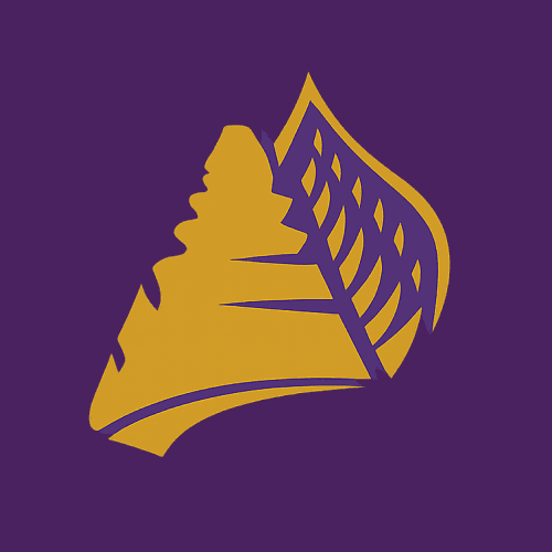 Airline Logo
