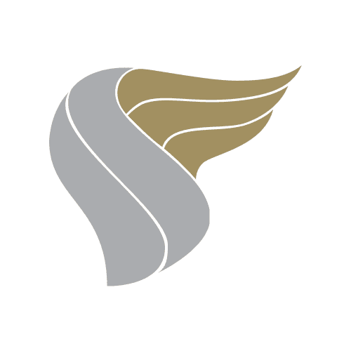 Airline Logo